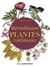 Merveilleuses plantes médiévales