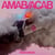 Amab/Acab