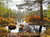 A l'écoute de la forêt de Fontainebleau