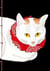 Carnet Hazan gaufré  Chats 18 x 26 cm (papeterie)