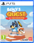 Bluey's Quest for the Gold Pen