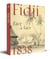 Fidji 1838 : Face à face