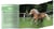 Mes plus belles histoires de poneys