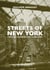 Streets of New-York : L'histoire du rock dans la Big Apple