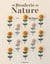 Broderie nature
