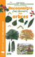 Reconnaitre facilement les arbres