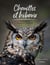 Chouettes et hiboux : Redoutables chasseurs nocturnes