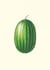 Carnet : Jardin potager et jardin fruitier