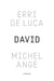 David, Michel-Ange : Enquête sur une disproportion