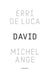 David, Michel-Ange : Enquête sur une disproportion