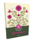Botanica - 20 cartes à colorier