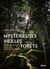 Mystérieuses vieilles forêts : Un voyage immersif au coeur des écosystèmes préservés