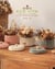 Book 6 projets DMC Eco Vita 12 - 2026