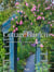Cottage Gardens : Creating Year-Round Beauty With Flowers, Herbs, Fruits, Edibles, And More