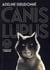 Canis Lupus