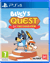 Bluey's Quest for the Gold Pen