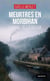 Meurtres en Morbihan : L'ombre de la brume