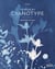 La magie du cyanotype : Immortaliser la nature