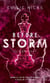 Before Storm Tome 1 : Le candidat