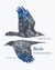 Birds, ce sont les oiseaux