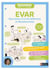 Ressources pour la classe : EVAR : Éducation à la vie affective et relationnelle - Cycles 2 et 3