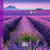 Calendrier 2027 Pictura - Provence - 16 x 16 cm