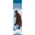Calendrier marque-pages 2027 Pictura - Photo chevaux