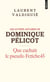 Les autres affaires de Dominique Pelicot : Que cachait le pseudo Fetiche45 ?