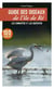 Guide des oiseaux de l'île de Ré : Les connaître et les observer : 100 espèces