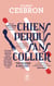 Chiens perdus sans collier