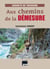 Aux chemins de la démesure : Carnets de trekking