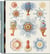 The Art and Science of Ernst Haeckel