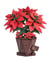 Maquette 153 pièces - Bouquet poinsettia - Rowood