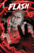 Absolute Flash Tome 2 : L'oeil du cyclone