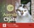 Agenda des chats 2027