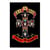 Poster Grupo Erik - Guns N' Roses