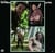 Still Bill / Edition Limitee Couleur Vert Translucide