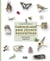 Cuaderno de campo para jóvenes naturalistas: Entornos urbanos
