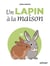 Un lapin à la maison