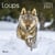 Calendrier Loups (édition 2027)