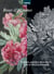 Roses & pivoines : Pierre-Joseph Redouté - Thilo Westermann