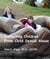 Protecting Children from Child Sexual Abuse