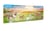 Playmobil® - Poneys islandais et poulains  - 71000 - Playmobil® Country