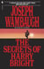 The Secrets of Harry Bright - A Novel