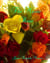 The Mystic Rose