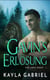 Gavin's Erlösung - Red Lodge Bären, #3