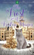 The Frost of Friston Manor - Emily Mansion Old House Mysteries, #4