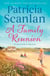 A Family Reunion - Warmth, wisdom and love on every page - if you treasured Maeve Binchy, read Patricia Scanlan