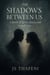 The Shadows Between Us: A Battle of Spirit, Sanity, and Sacred love - The Shadow's between us, #1