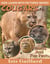 Cougars Photos and Fun Facts for Kids - Kids Learn With Pictures, #40